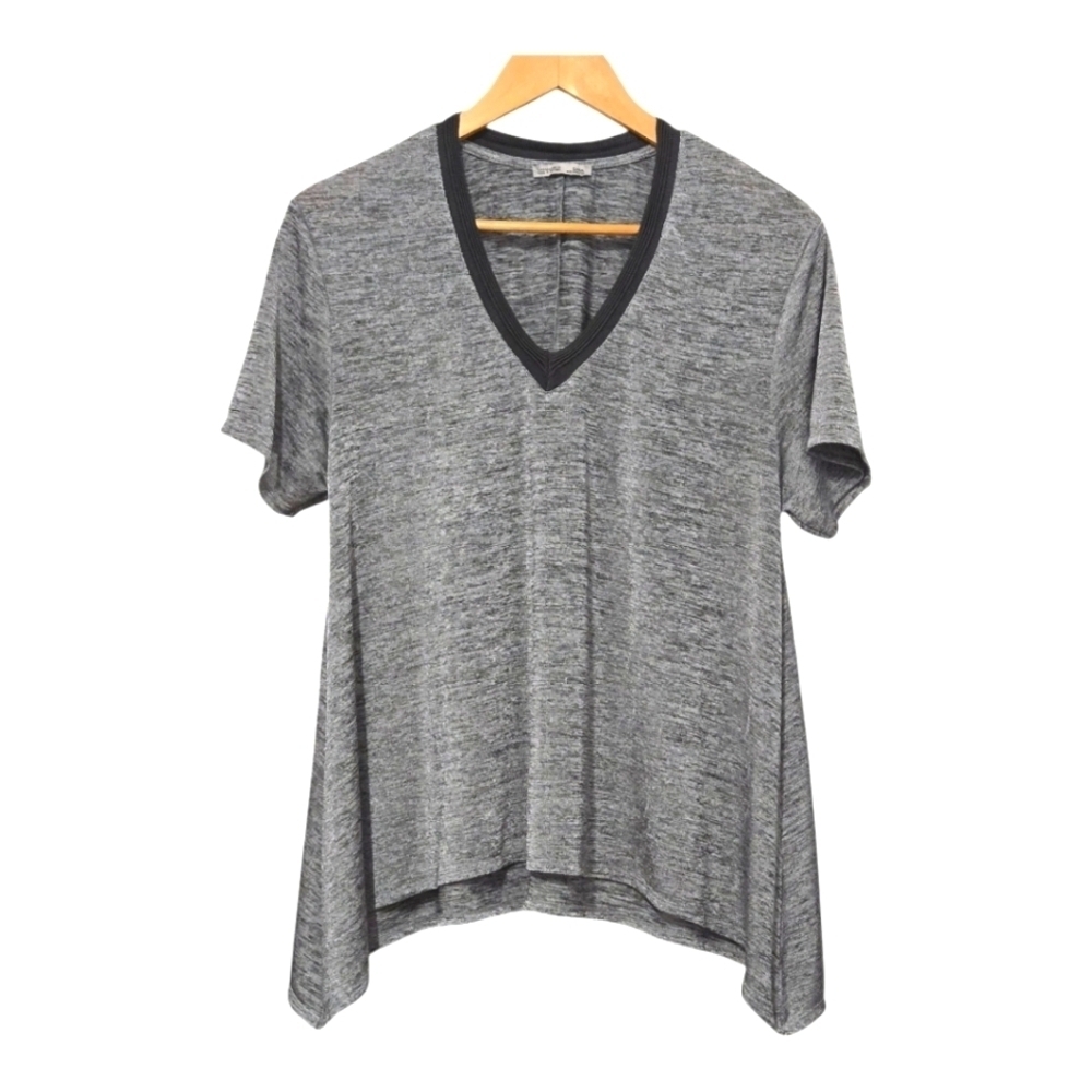 ZARA Metallic Top